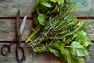 kitchen-herbs-content